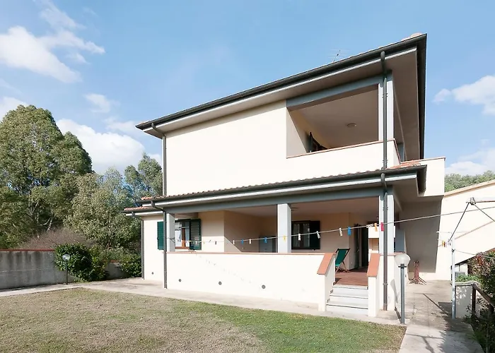 Primula 1 마리나디캄포